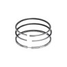 Segmente de piston, set 82.8 21083-1000100
