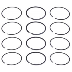 Piestne krúžky 79 21011-1000100