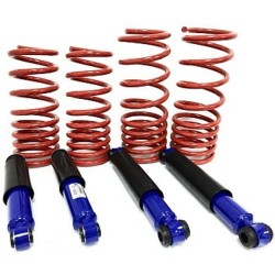 Un set de amortizoare și arcuri pentru mașini VAZ 2101 - 2107 TUNING