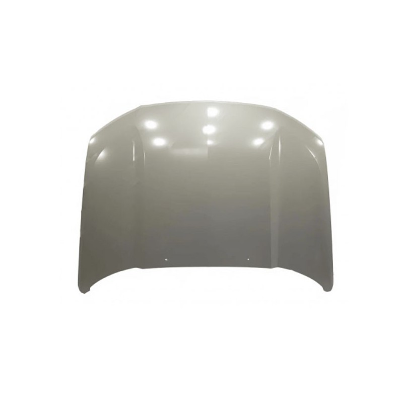 Vordere Motorhaube 2123-8402010-81