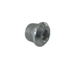 Skrutka olejovej vane s podložkou 2112-1011061